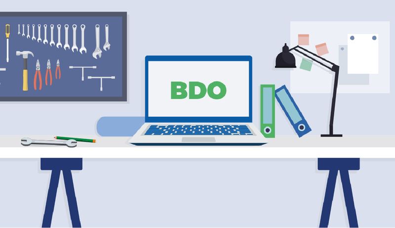 Obowiązki sprawozdawcze za 2024 rok - BDO